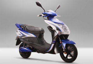 Electric Scooter RK-S1303
